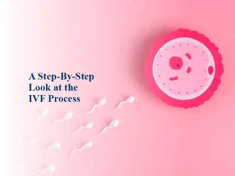 IVF process