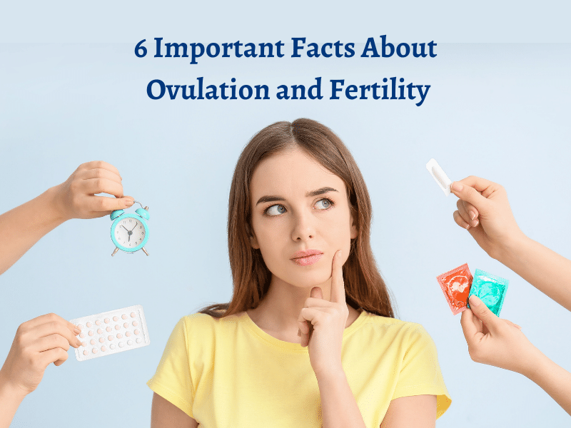 Ovulation and Fertility