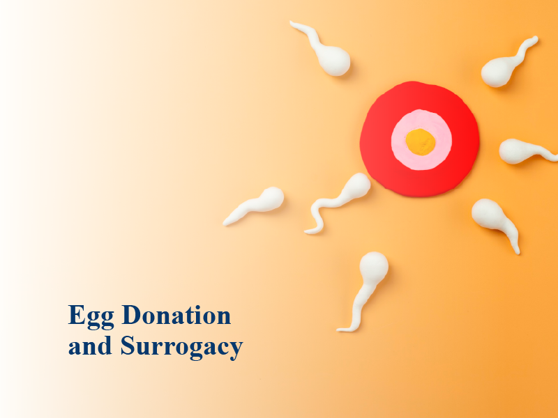 Using an Egg Donor 