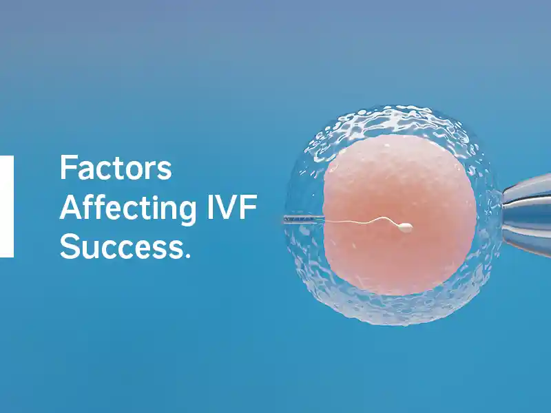 Factors affecting IVF Success
